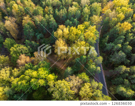 Flight over the autumn mountains with road serpentine and deciduous and pine forest. Top down view. 126836030
