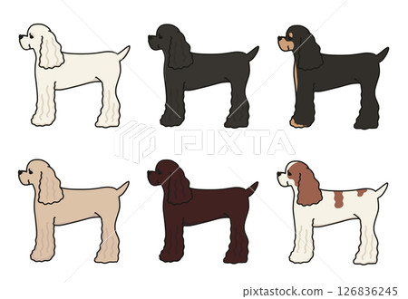 Multi-color illustration of a cute American Cocker from the side 126836245