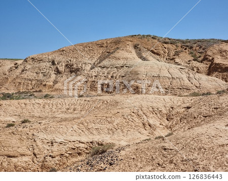 Beautiful Landscape Of The Desert 126836443
