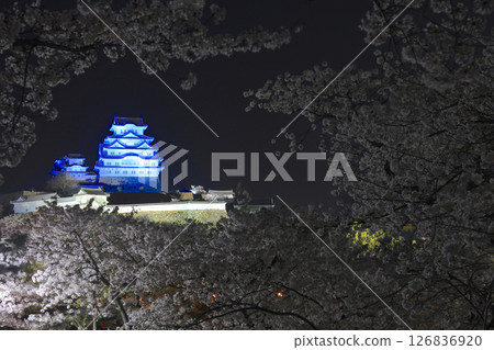 姬路城與夜櫻(三之丸廣場)/姬路城十景/世界遺產/國寶/日本百選櫻花勝地 姬路城與夜櫻(三之丸廣場)/姬路城十景/世界遺產/國寶/日本百選櫻花勝地 126836920