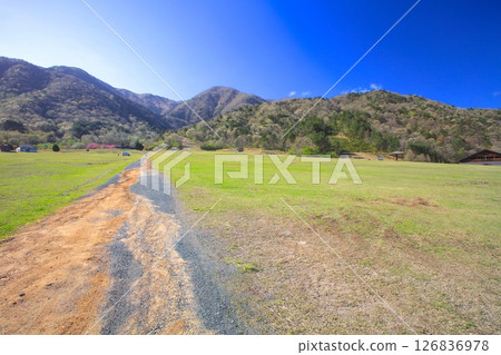 Makino plateau (fresh green season) / Lake Biwa National Quarantine Park 126836978