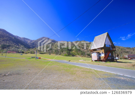 Makino plateau (fresh green season) / Lake Biwa National Quarantine Park 126836979