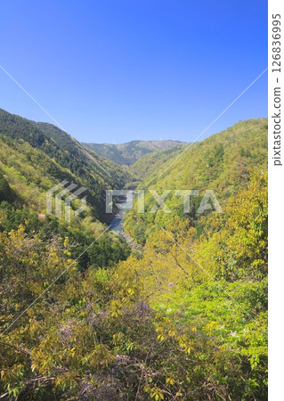 Hideyori Hozu Gorge,Kiyotakigawa河(來自Six-Doki Pass)的景色 Hideyori Hozu Gorge,Kiyotakigawa河(來自Six-Doki Pass)的景色 126836995