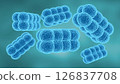 Kytococcus sedentarius is the main bacteria that causes a foot infection called keratolysis 126837708