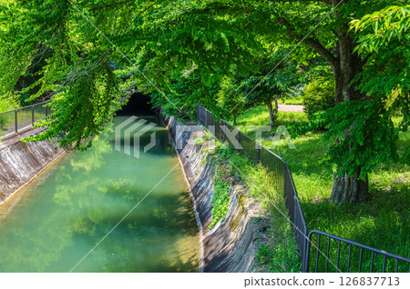 京都市琵琶湖疏水第二隧道出口 126837713