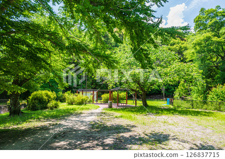 京都市琵琶湖運河沿岸的綠地 126837715