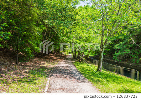 琵琶湖疏水、疏水步道、京都市 126837722