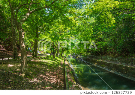 琵琶湖疏水道 京都市 琵琶湖疏水道 京都市 126837729