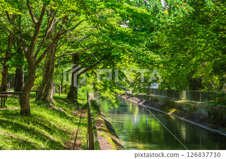 Lake Biwa Canal Kyoto City Lake Biwa Canal Kyoto City 126837730