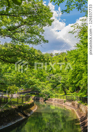 琵琶湖疏水道 京都市 126837733