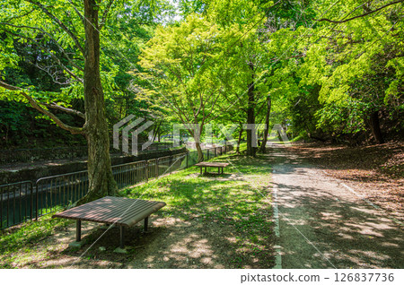 琵琶湖疏水、疏水步道、京都市 126837736