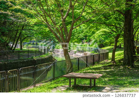 琵琶湖疏水道 京都市 126837737