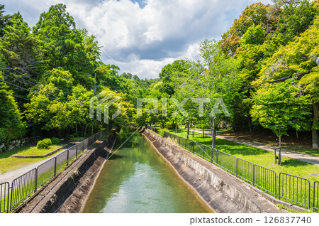 琵琶湖疏水道 京都市 126837740