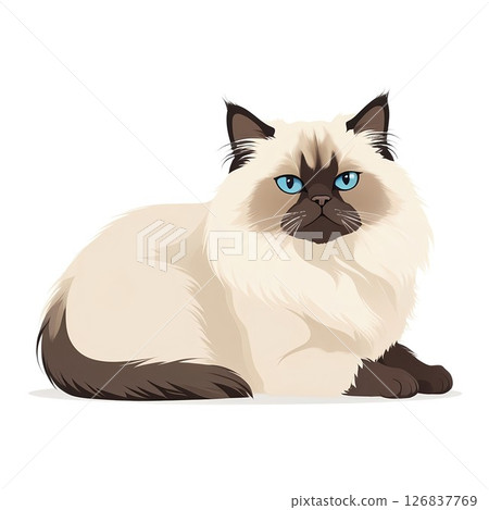 喜歡放鬆的喜馬拉雅貓 126837769