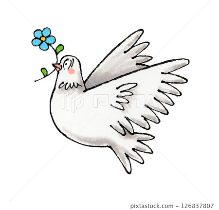 White dove and flowers White dove and flowers 126837807