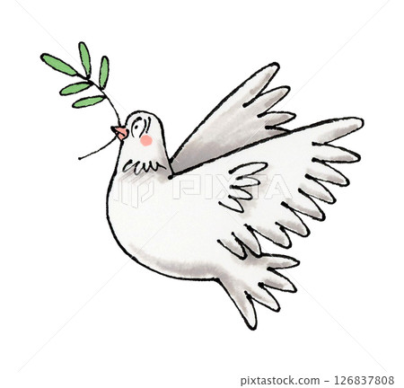 白鴿和橄欖 126837808
