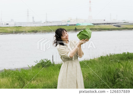 Cabbage that meets all safety standards Cabbage that meets all safety standards 126837889