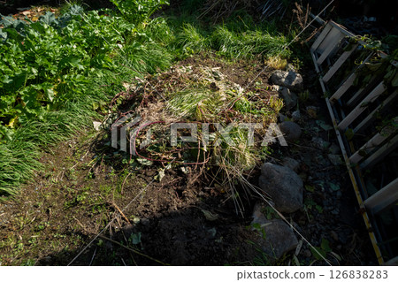 Weeding the fields 126838283