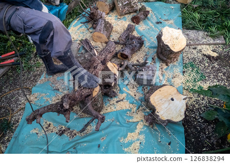 用鏈鋸把樹幹切成碎片 126838294