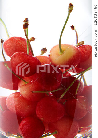 Satonishiki Cherries Satonishiki Cherries 126838460