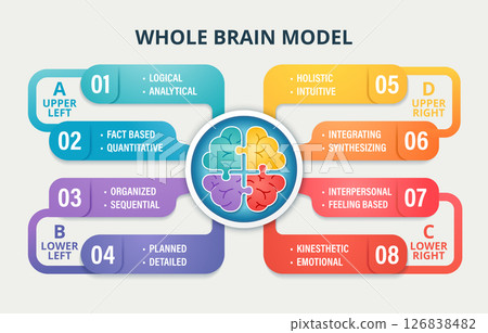Whole Brain Model infographic showing four thinking quadrants: analytical, sequential, emotional, and holistic. Color-coded brain sections represent cognitive diversity and thinking styles for 126838482