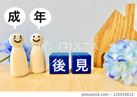 Image of the adult guardianship system Image of the adult guardianship system 126838632