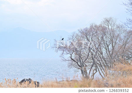 琵琶湖 琵琶湖 126839352