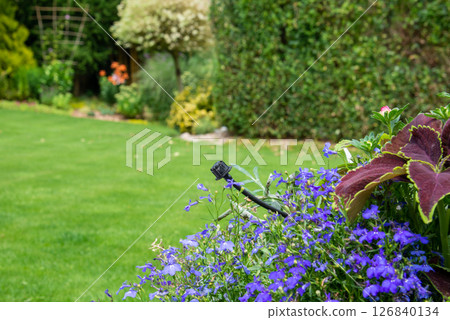 Drip irrigation with bubbler and tube over the flower pot on gar 126840134
