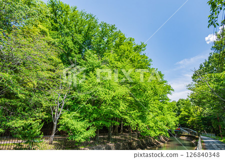 琵琶湖疏水道 京都市 126840348