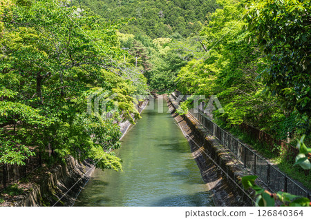 琵琶湖疏水道 京都市 126840364