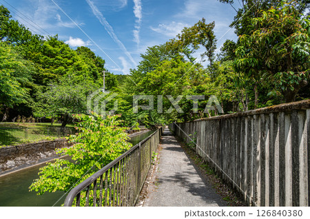 Lake Biwa Canal, Promenade along the canal, Kyoto City Lake Biwa Canal, Promenade along the canal, Kyoto City 126840380