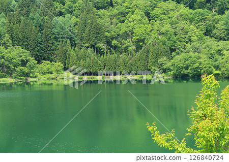 Lake Nakatsuna in May Lake Nakatsuna in May 126840724