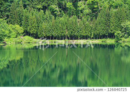 Lake Nakatsuna in May Lake Nakatsuna in May 126840725
