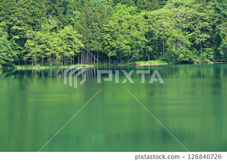 Lake Nakatsuna in May Lake Nakatsuna in May 126840726