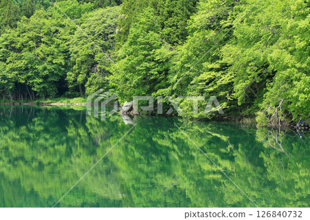 五月的中綱湖 126840732