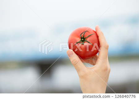 This is what a delicious tomato looks like 126840776