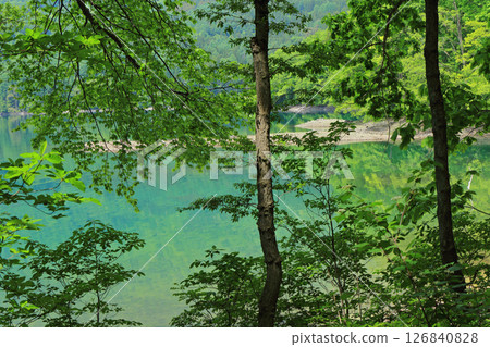 Aoki Lake in May 126840828