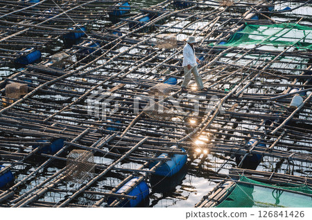 Fishing cages and nets at a fish breeding farm on the water in the sea in Vietnam in Asia 126841426