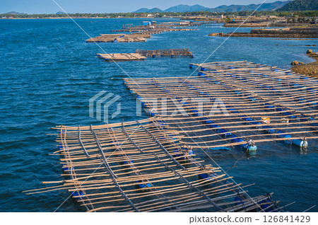 Shrimp and fish farming farm with fishing cages and nets on the water in the sea bay in Vietnam in Asia in summer. Aerial top view from drone 126841429