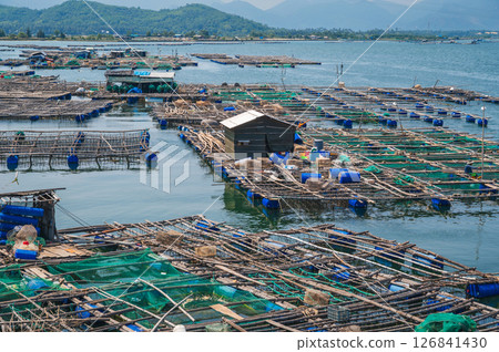 fish farming farm with fishing cages and nets on the water in the sea bay in Vietnam in Asia fish farming farm with fishing cages and nets on the water in the sea bay in Vietnam in Asia 126841430