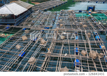 fish farm with fishing cages on water in a sea bay in Vietnam in Asia in summer fish farm with fishing cages on water in a sea bay in Vietnam in Asia in summer 126841431