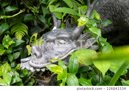 Bronze dragon fountain hidden in greenery on Enoshima Island, Japan 126841534