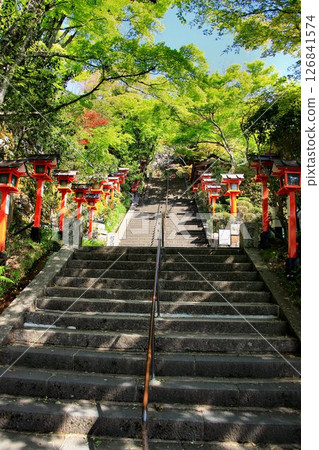 Cosmic energy pours down to protect the capital of Kyoto from evil spirits... Kurama Temple "Sando" Cosmic energy pours down to protect the capital of Kyoto from evil spirits... Kurama Temple "Sando" 126841574