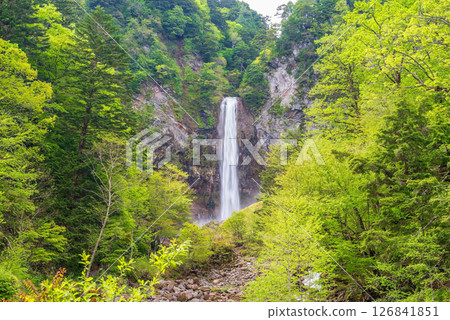 新綠時節的平湯大瀧[高山市平湯溫泉鄉奧飛驒溫泉] 126841851