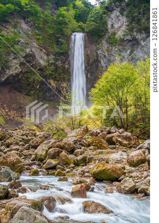 新綠時節的平湯大瀧[高山市平湯溫泉鄉奧飛驒溫泉] 126841861