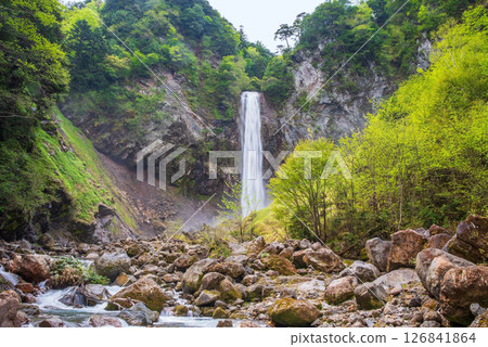 新綠時節的平湯大瀧[高山市平湯溫泉鄉奧飛驒溫泉] 126841864