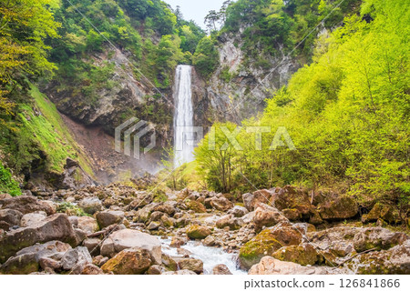 新綠時節的平湯大瀧[高山市平湯溫泉鄉奧飛驒溫泉] 126841866