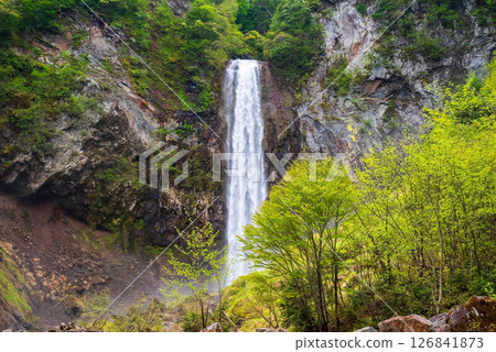 Hirayu Otaki waterfall in the season of fresh greenery [Okuhida Onsenkyo, Hirayu Onsen, Takayama City] 126841873