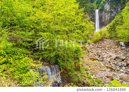 Hirayu Otaki waterfall in the season of fresh greenery [Okuhida Onsenkyo, Hirayu Onsen, Takayama City] 126841890