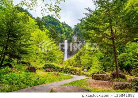 Hirayu Otaki waterfall in the season of fresh greenery [Okuhida Onsenkyo, Hirayu Onsen, Takayama City] 126841892